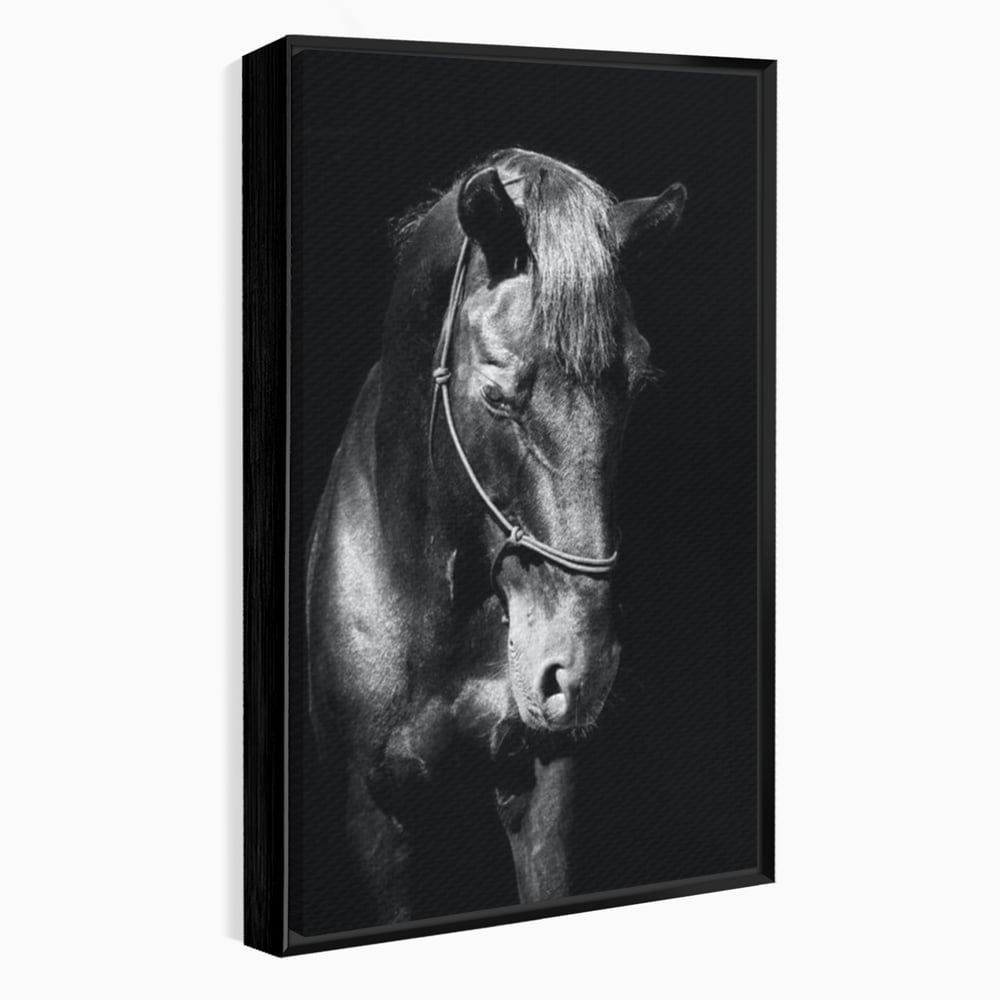 Tablou canvas cu tablou canvas cu un cal negru, in rama de aluminiu negru